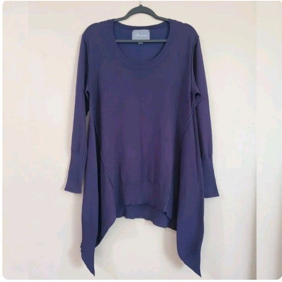 Paper Crane Anthropologie Navy Blue Deconstructed Tunic Sweater Sz L - Picture 2 of 9